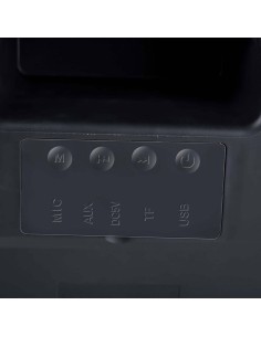 Altavoz bluetooth tws 20w dunlop 2