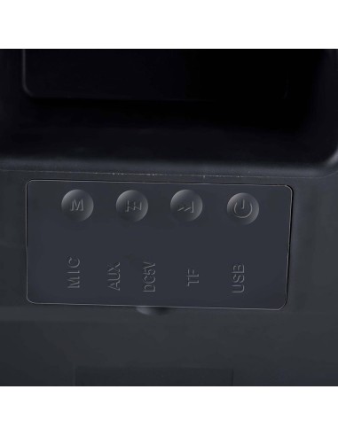 Altavoz bluetooth tws 20w dunlop