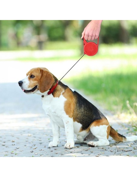 Correa extensible 3 m colores surtidos