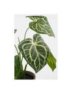 Planta artificial caladium "oreja de elefante" verde con maceta ø21x28cm 2
