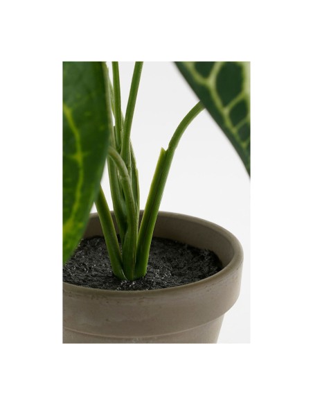 Planta artificial caladium "oreja de elefante" verde con maceta ø21x28cm