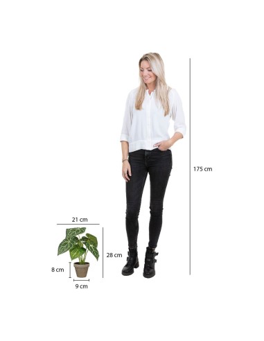 Planta artificial caladium "oreja de elefante"...