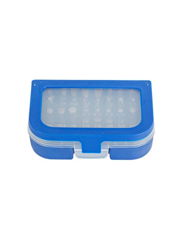 Puntas destornillador, juego 31 piezas. workpro