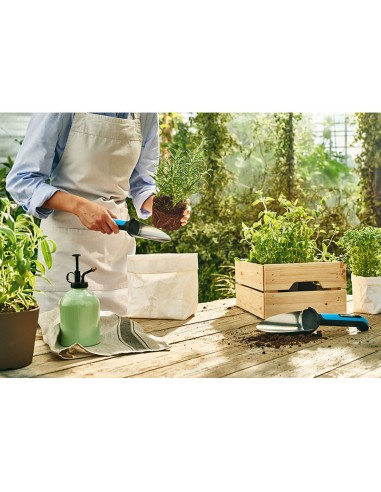 Paleta de transplane estrecha cellfast