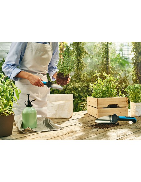 Paleta de transplane estrecha cellfast