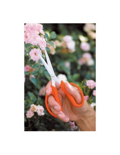 Tijera para florista 19,5 cm 2