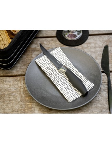 Cuchillo para carne otis, 4 uds. 55059100 wenko