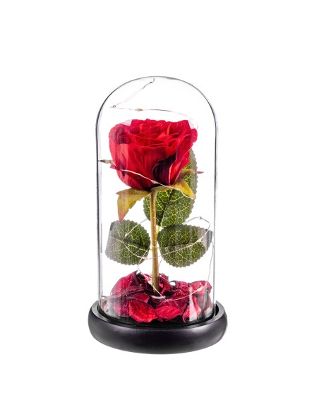 Rosa roja eterna leds cupula cristal 20 cm