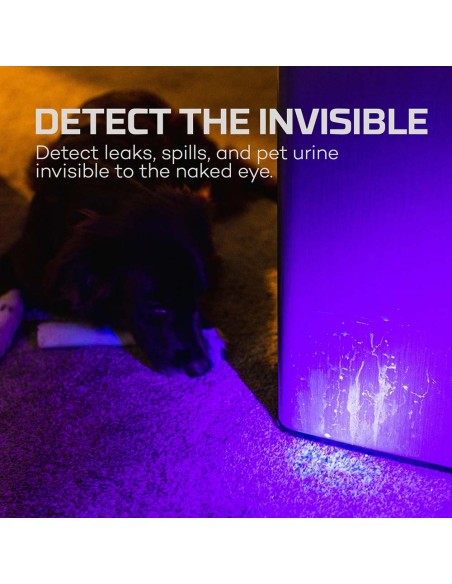 Linterna torchy uv - luz ultravioleta