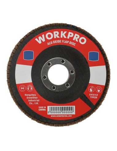 Disco láminas plano ø100x16mm 80 g. workpro