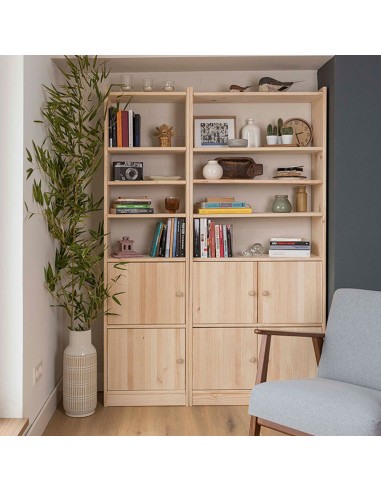 Puerta gala para est. 45 x 35.5cm. astigarraga