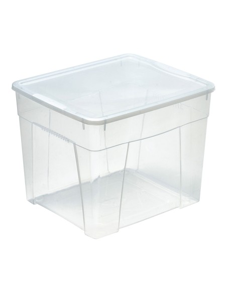Caja de almacenaje space box 34,5 l 42 x 35 x 33 cm