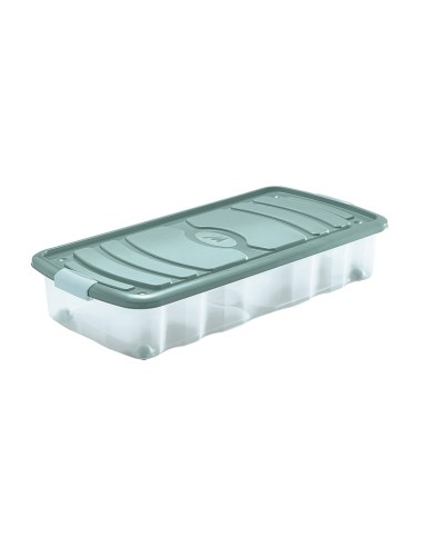 Caja de almacenaje bajo cama con tapa 31 l