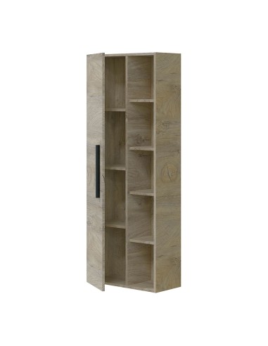 Columna colgar 51 1puerta + estantes