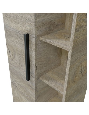 Columna colgar 51 1puerta + estantes