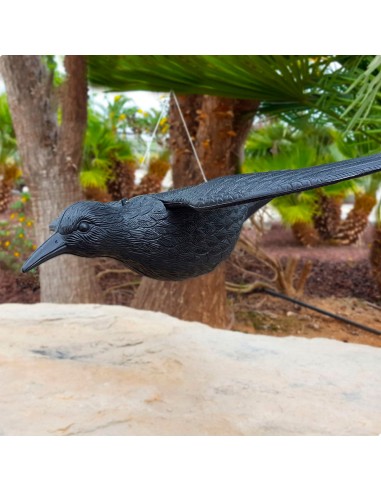 Cuervo de plastico (volador) 58cm edm
