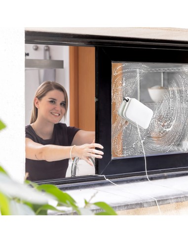 Limpiacristales magnético