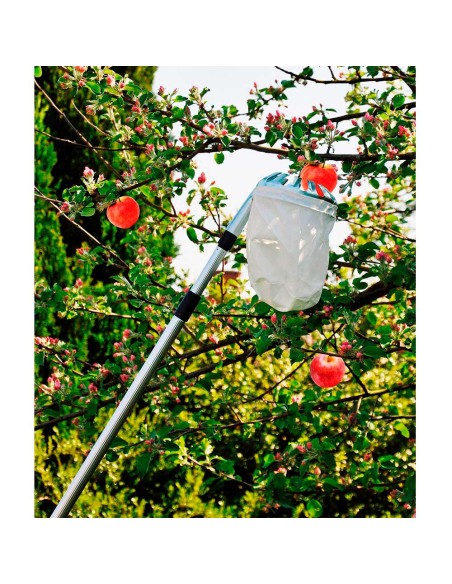Recogedor de frutas telescopico extensible de 130-240cm grouw