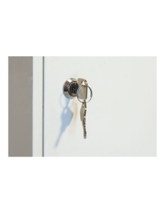 Taquilla desmontada 2 puertas ancho 30 x 50 x 180 cm 2