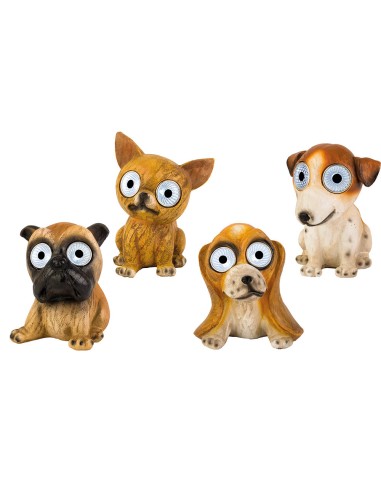 Perro luz solar, modelos variados