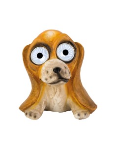 Perro luz solar, modelos variados 2