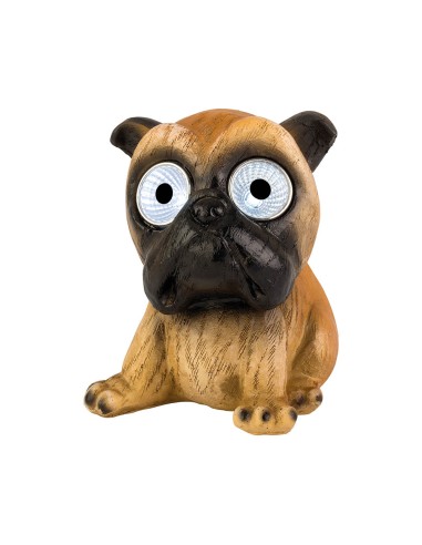 Perro luz solar, modelos variados