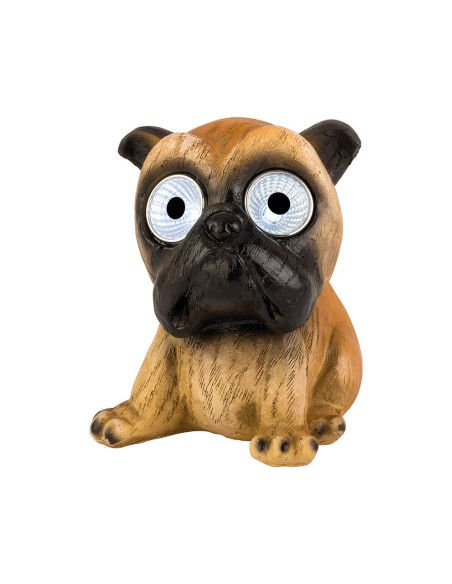 Perro luz solar, modelos variados