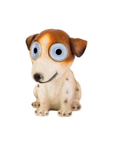 Perro luz solar, modelos variados