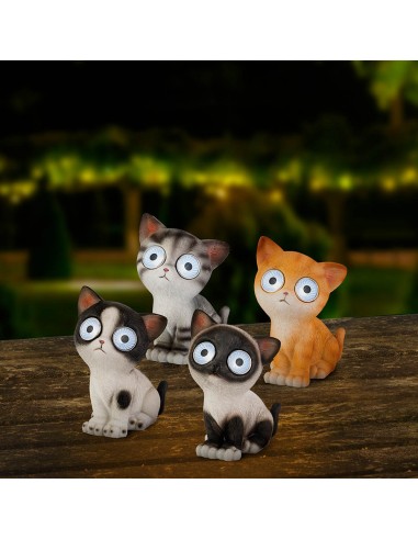 Gato luz solar, modelos variados