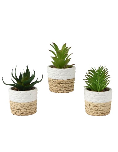 Conjunto 3 macetas de decoración