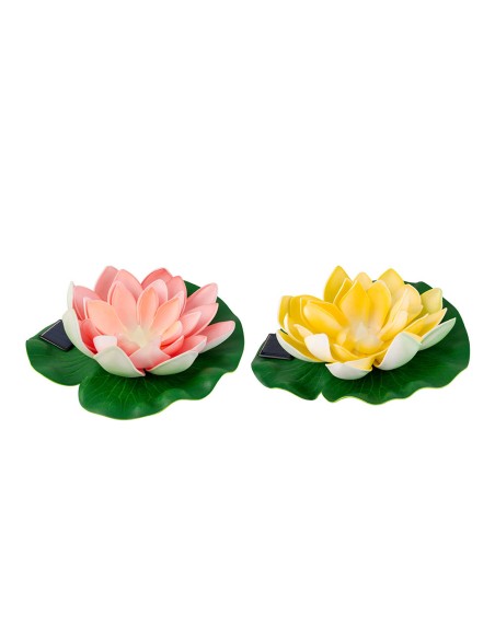 Flor de loto solar, colores surtidos