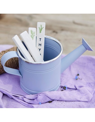 Regadera zinc, mate, 10 x 23 x 10,5 cm, colores...