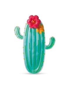 Infable piscina cactus