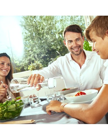 Botella filtración instantánea de vidrio de 1 l...