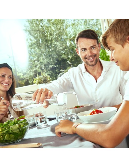 Botella filtración instantánea de vidrio de 1 l con 1 filtro