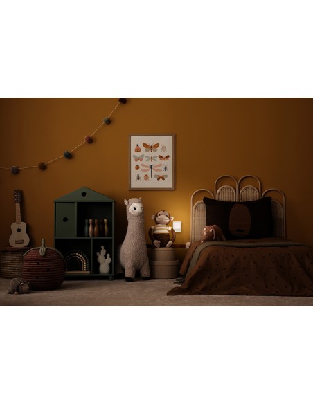 Piloto de noche con sensor de movimiento y enchufe