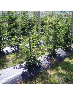 Malla antihierba 100 g/m² negra 1 x 100 m 2