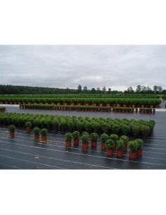 Malla antihierba 100 g/m² verde 1 x 10 m 2