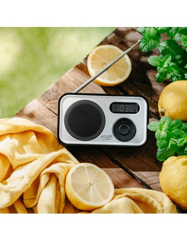 Radio digital pll am/fm ad 1906, 12,5 x 3 x 7,5 cm