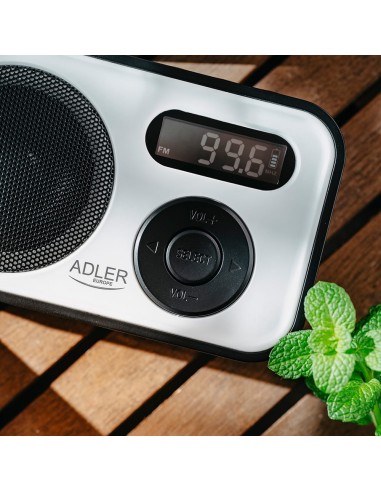 Radio digital pll am/fm ad 1906, 12,5 x 3 x 7,5 cm