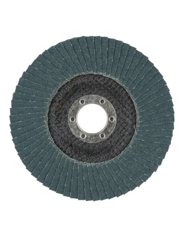 Disco de láminas abrasivo gr60 ø125 mm
