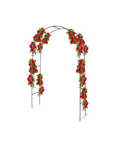 Arco para rosales 240 x 140 cm 2