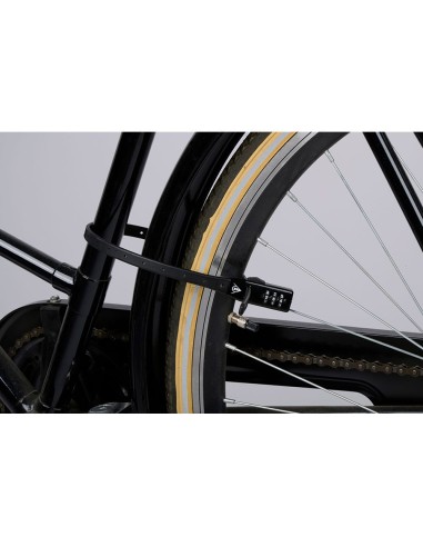 Candado con combinación 53 x 1 x 0,3 cm