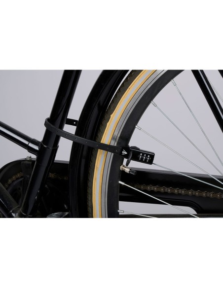 Candado con combinación 53 x 1 x 0,3 cm