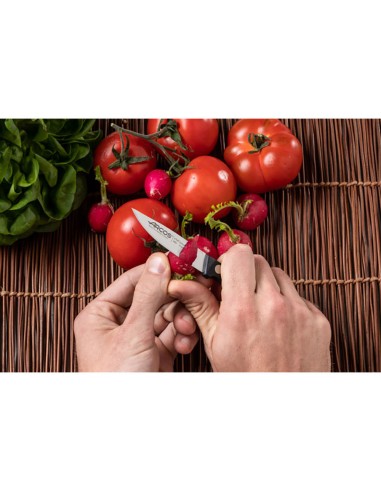 Cuchillo mondador serie universal 75 mm