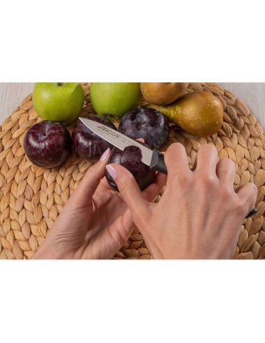 Cuchillo mondador serie nova 85 mm
