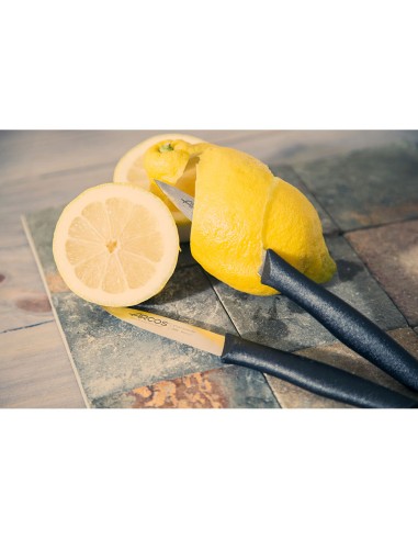 Cuchillo mondador serie nova 85 mm