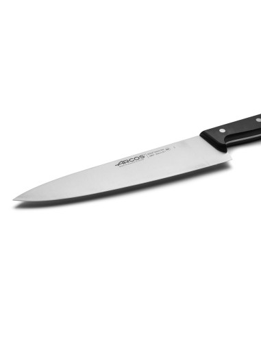 Cuchillo cocinero serie universal 250 mm