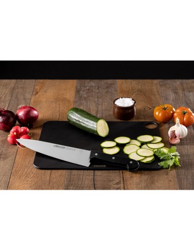 Cuchillo cocinero serie universal 250 mm