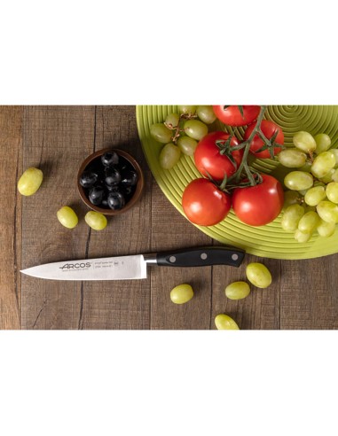 Cuchillo cocinero serie riviera 150 mm